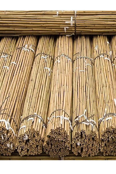 DOĞA FİDANCILIK 40 Adet Bambu Bitki Fidan Destek Çubuğu 1,5 Metre