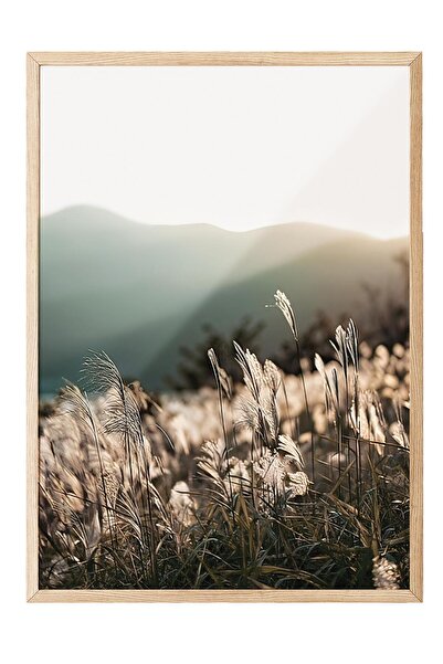 Postifull Sunlight Grass Çerçeveli Tablo, Ahşap Çerçeve ve Poster, Duvar Tabl...