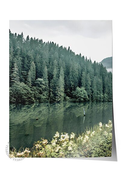 Postifull Poster cu înghețată roz, poster de perete fără cadru, pictură verti...