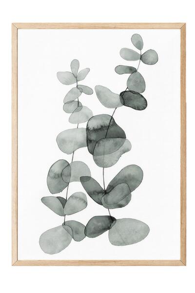 Postifull Eucalyptus No2  Çerçeveli Tablo, Ahşap Çerçeve ve Poster, Duvar Tab...