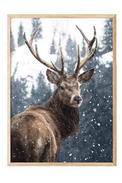 Postifull Red Deer in Snow  Çerçeveli Tablo, Ahşap Çerçeve ve Poster, Duvar T...
