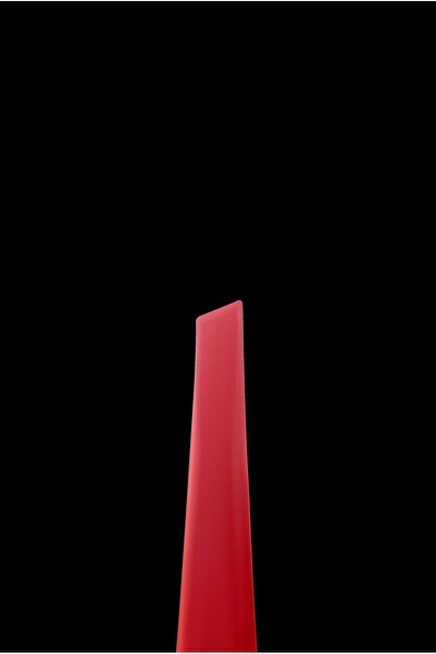 STALEKS Expert Profesyonel Kaş Cımbızı 5mm Red