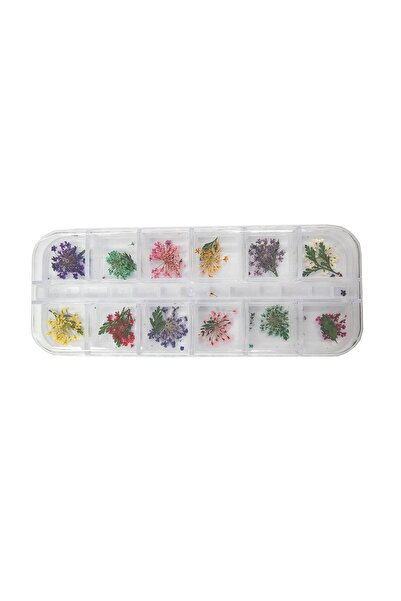 aba nails Nail Art Manikür Tırnak Süsleme Yapraklı Kuru Çiçek 12li Set