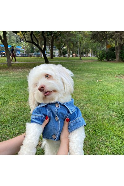 ZIGGYDOG Ceket Köpek Kot Kıyafetı