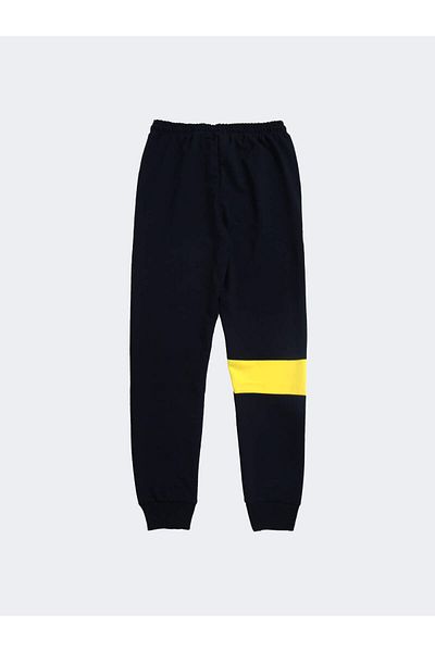 Fenerium Fenerbahce Herren Tribune Basic Single Bottom Jogginghose