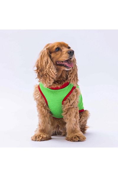Pawstar Green Summer Time Cat Dog T-Shirt - Cat Dog Outfit