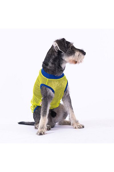 Pawstar Super Hero Mesh Cat Dog T-Shirt - Cat Dog Outfit