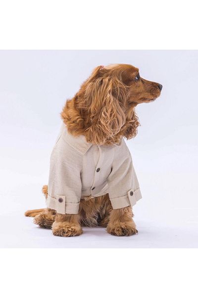 Pawstar Beige Cat Dog Shirt - Linen Look Outfit