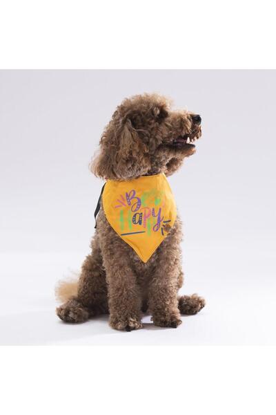 Pawstar Be Happy! Kedi Köpek Fuları Pet Bandanası