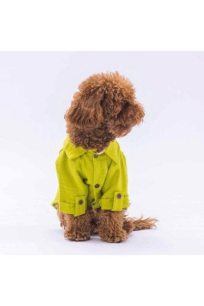 Pawstar Green Linen Look Cat Dog Shirt and Clothes Set
