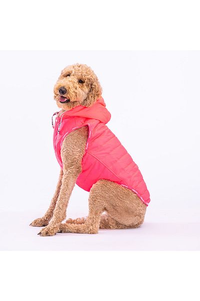 Pawstar Neon Fuchsia Railway Anorak Dog Vest for Medium and Large Breeds Dog Apparel Dog Raincoat