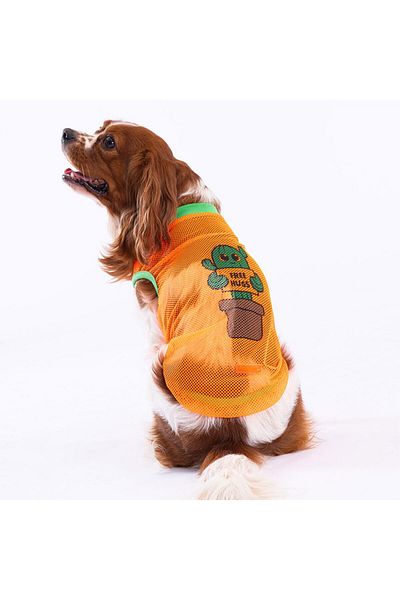Pawstar Cactus Mesh Cat Dog T-Shirt - Outfit Designed