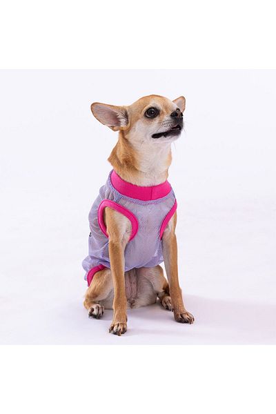Pawstar Cat Dog T-Shirt - Rocks Mesh Outfit