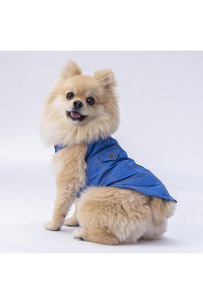 Pawstar Denim Look Cat Dog Shirt - Cat Dog Outfit