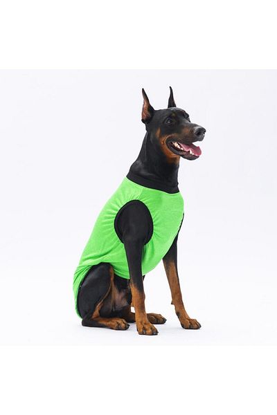 Pawstar Green Travel Large Dog T-Shirt - Dog Apparel (15 KG-45 KG)