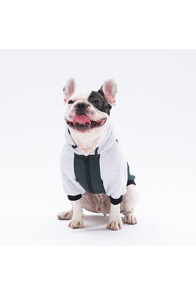 Pawstar Dark Green PS Desing Cat Dog Jacket Cat Dog Outfit Cat Dog Dress