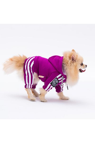 Pawstar Purple Tuta Small Breed Dog Jumpsuit Dog Outfit Dog Tracksuit Cat Outfit