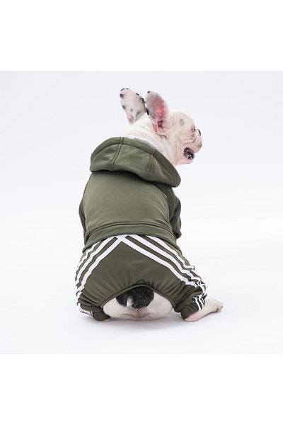 Pawstar Khaki Tuta Small Breed Dog Jumpsuit Dog Outfit Dog Tracksuit Cat Outfit