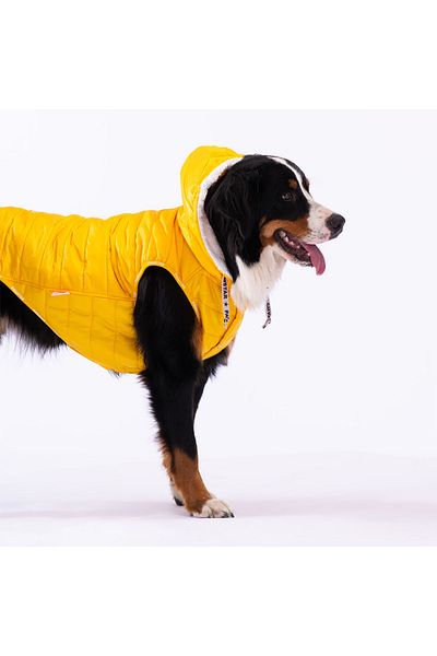 Pawstar Yellow Railway - Anorak Vest, Dog Vest, Clothing and Raincoat for Medium and Large Breeds