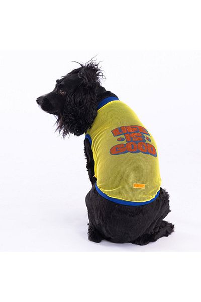 Pawstar Life Mesh Cat Dog Pattern T-Shirt - Outfit