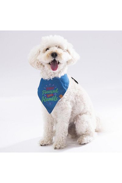 Pawstar Stay Cat Dog Scarf Pet Bandana
