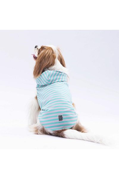 Pawstar Aqua Sunny Cat Dog Hooded T-Shirt - Clothes Design