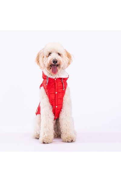 Pawstar Red Railway Anorak Vest for Medium and Large Breeds Dog Vest Dog Apparel Dog Raincoat