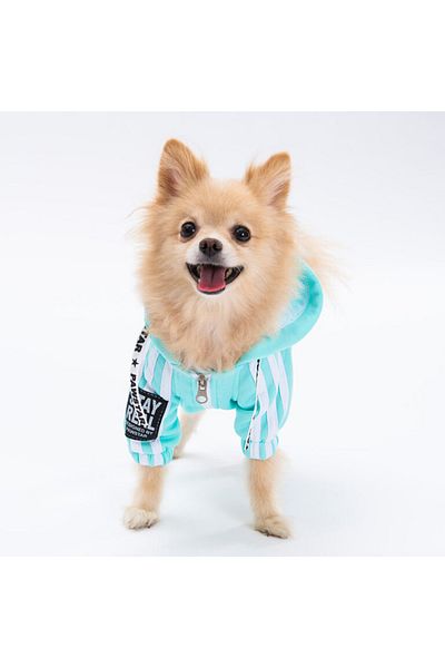 Pawstar Water Green (Aqua) Tuta Small Breed Dog Jumpsuit Dog Outfit Dog Tracksuit Cat Outfit
