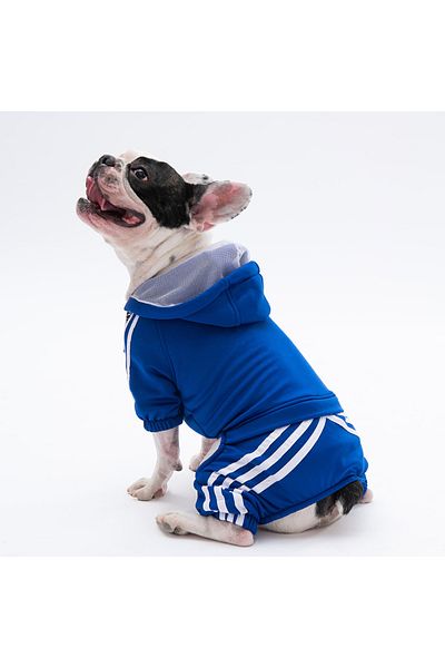 Pawstar Saks Blue Dog Jumpsuit - Race Small Tracksuit, Outfit