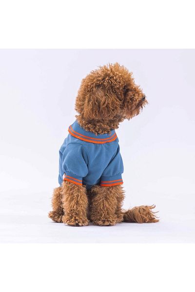 Pawstar Polo Collar Blue Marine Cat Dog T-Shirt - Outfit