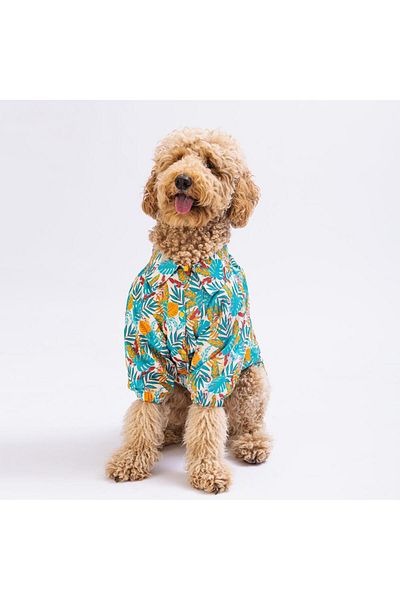 Pawstar Folia Large Dog Shirt - 15 KG-45 KG Outfit