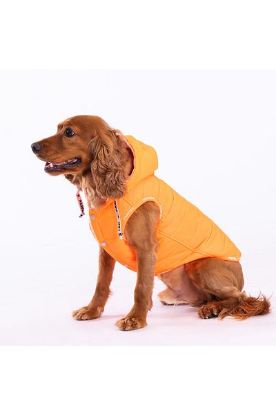 Pawstar Neon Orange Railway Vest Dog Vest Dog Apparel Dog Raincoat