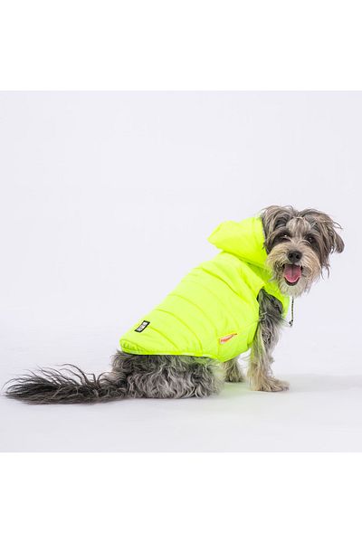 Pawstar Neon Yellow Railway Anorak Vest Dog Vest Dog Outfit Dog Raincoat