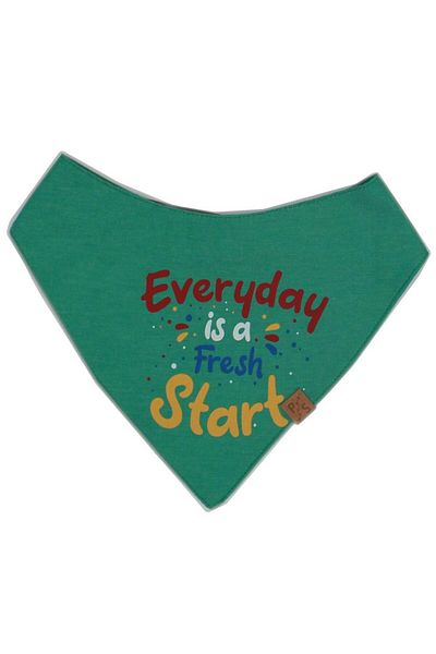 Pawstar Everyday Cat Dog Scarf Pet Bandana