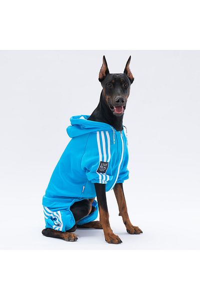 Pawstar Turquoise Tuta Medium and Large Breed Dog Jumpsuit Dog Outfit