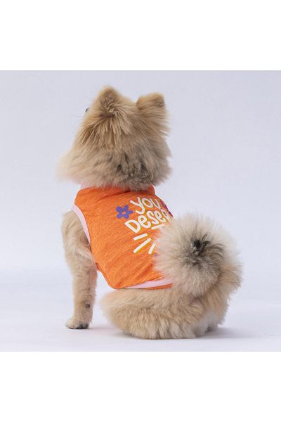Pawstar Orange Joy Cat Dog T-Shirt - Clothes Design
