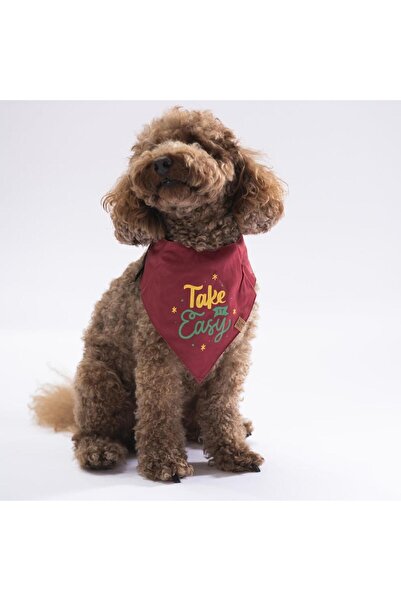 Pawstar Red Take It Easy Kedi Köpek Fuları Pet Bandanası