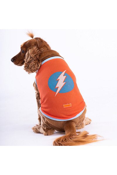 Pawstar Flash Mesh Cat Dog T-Shirt - Cat Dog Outfit