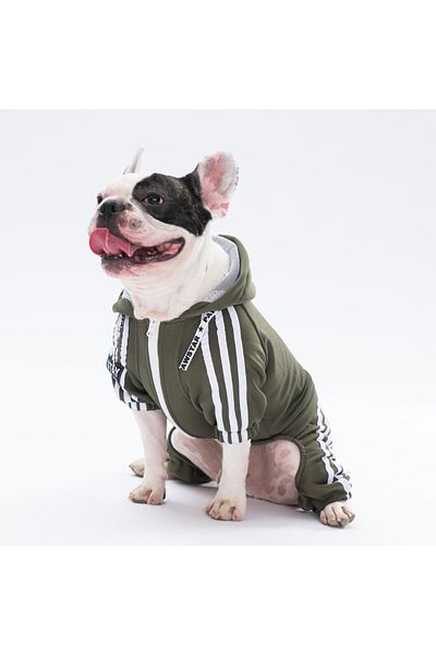 Pawstar Khaki Tuta Small Breed Dog Jumpsuit Dog Outfit Dog Tracksuit Cat Outfit