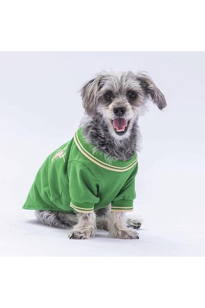 Pawstar Green Cat Dog Polo T-Shirt - Marine Outfit