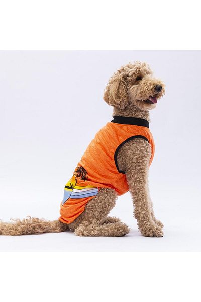Pawstar Orange Sunrise Big Dog T-Shirt - 15-45 KG Outfit