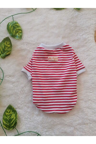 jeneric pet tişört, köpek kıyafeti, kedi kıyafeti, lagost penye