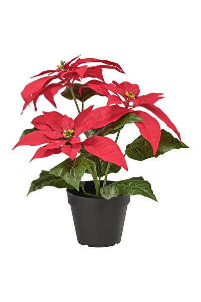 IKEA Vinterfint 36 cm Atatürk Çiçeği Saksılı Kırmızı Yapay Dekoratif Bitki Çiçek