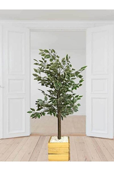 moysahsap party&ahşap Benjamin Ağacı Sık Yapraklı Doğal Ahşap Saksılı Yapay 140 Cm Uzunluk
