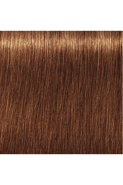Indola PCC Hair Color | Light Blond Gold Copper - 8.34 | 60ml