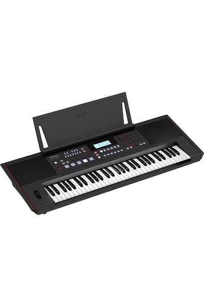 ROLAND E-x50 Tuş Hassasiyetli Ritimli Org Klavye