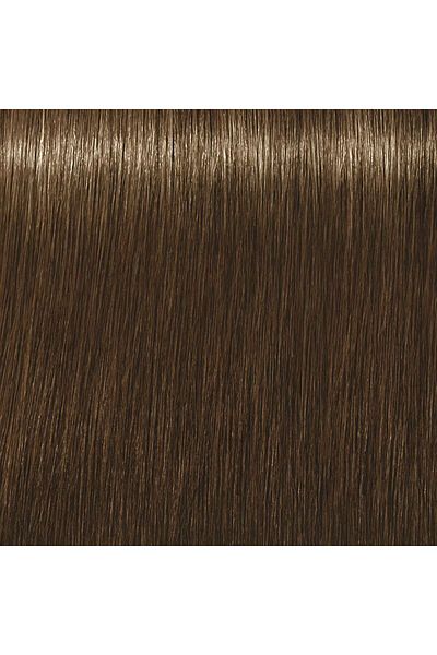 Indola PCC Hair Color | Light Blonde Ash Chocolate - 8.18 | 60ML