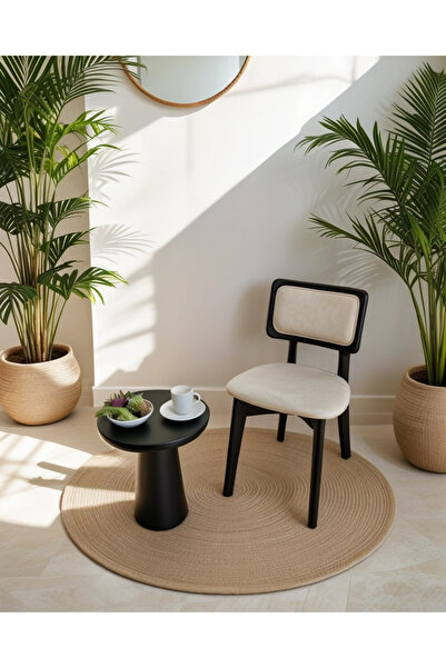 METSAN AKSESUAR Zion Sandalye Boyalı Döşemeli