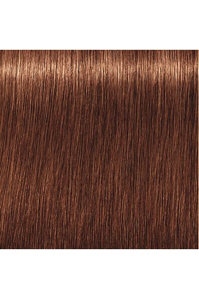 Indola PCC Hair Color | Dark Blonde Gold Copper - 6.34 | 60ml