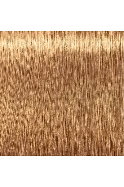 Indola PCC Hair Color | Light Blonde Gold - 8.3 | 60ml